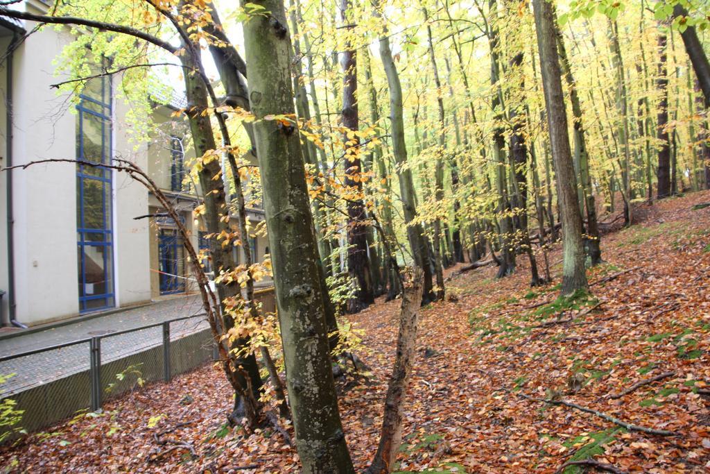 Hotel Lesny Сопот Екстериор снимка